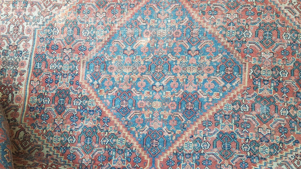 TAPIS SENNEH IRAN ANCIEN TAPIS PERSAN D'ORIENT XIXe-photo-2