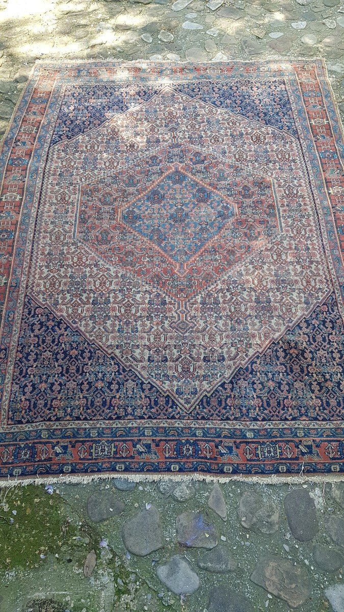 TAPIS SENNEH IRAN ANCIEN TAPIS PERSAN D'ORIENT XIXe-photo-4