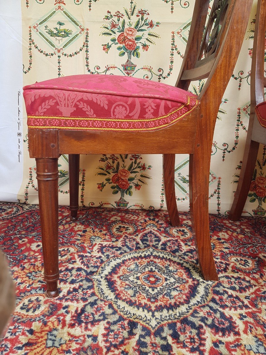 Series Of 4 Mahogany Chairs Period Consulate In The Etruscan Empire-photo-4