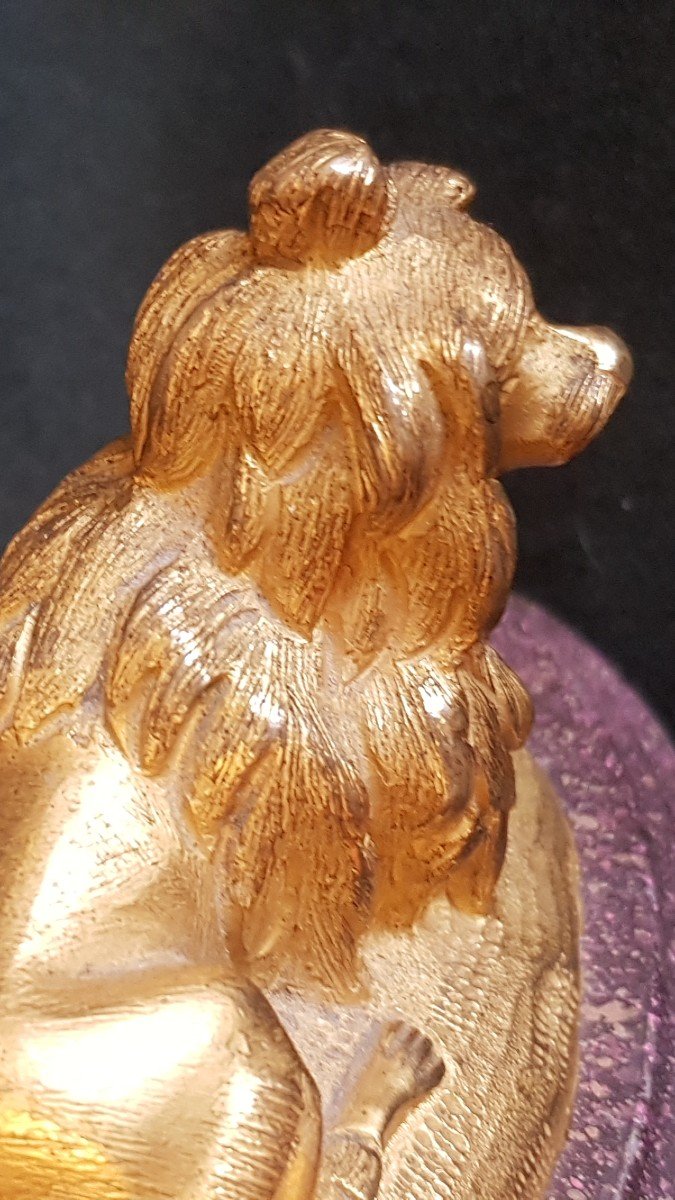 Golden Bronze Dog On Base Napoleon III Animalier-photo-1
