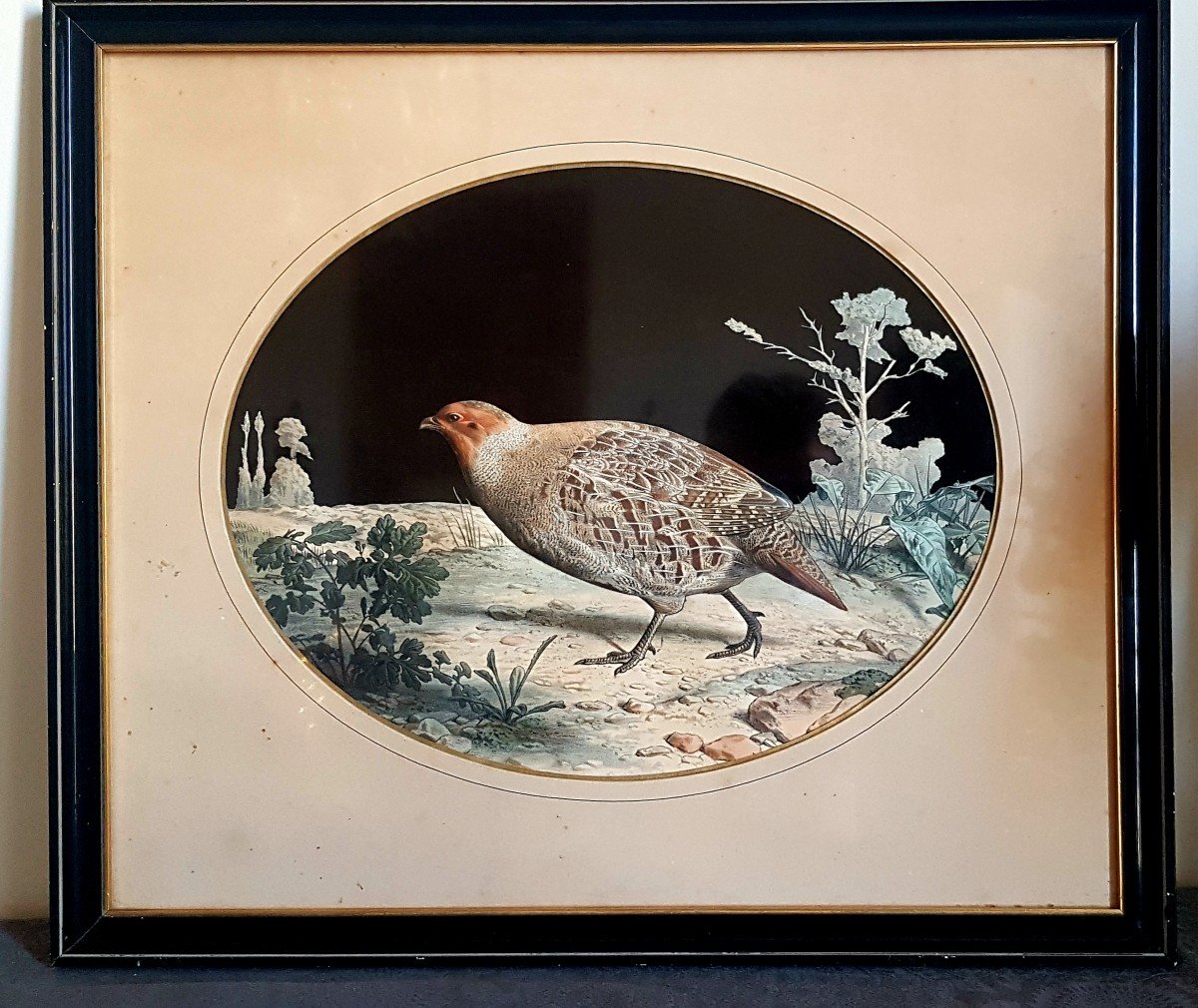 D APRÈS TRAVIES LITHOGRAPHIE DÉCOUPÉE EN RELIEF. NAPOLÉON III CHASSE CYNÉGÉTIQUE OISEAUX GRAVURE-photo-2