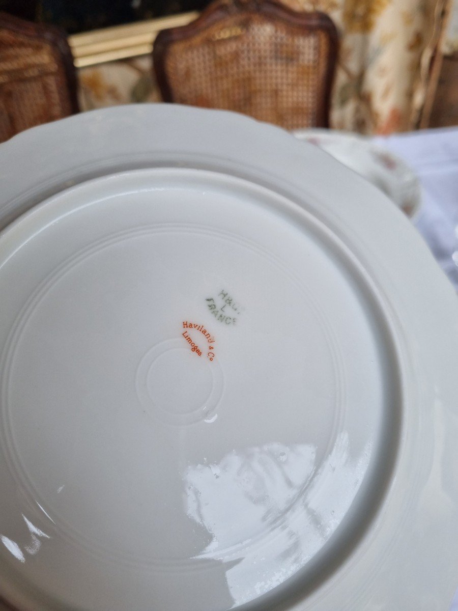 Haviland Porcelain From Limoges Late XIX Table Service-photo-8