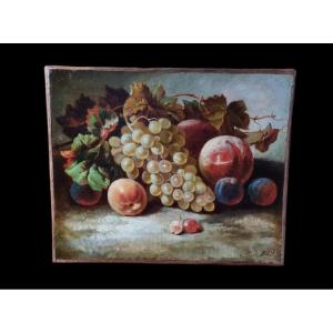 NATURE MORTE AUX FRUITS HUILE SUR TOILE EPOQUE XIXe