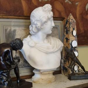 Apollo Du Belvedere Bust In Alabaster Late 19th C. Souvenir Of The Grand Tour