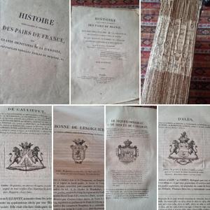 Knight Of Courcelles Peers Of France Volume 4 Genealogy Aristocracy