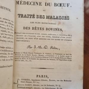LIVRE ANCIEN RODET MEDECINE DU BOEUF EDITION ORIGINALE 1829 ART VÉTÉRINAIRE VACHE