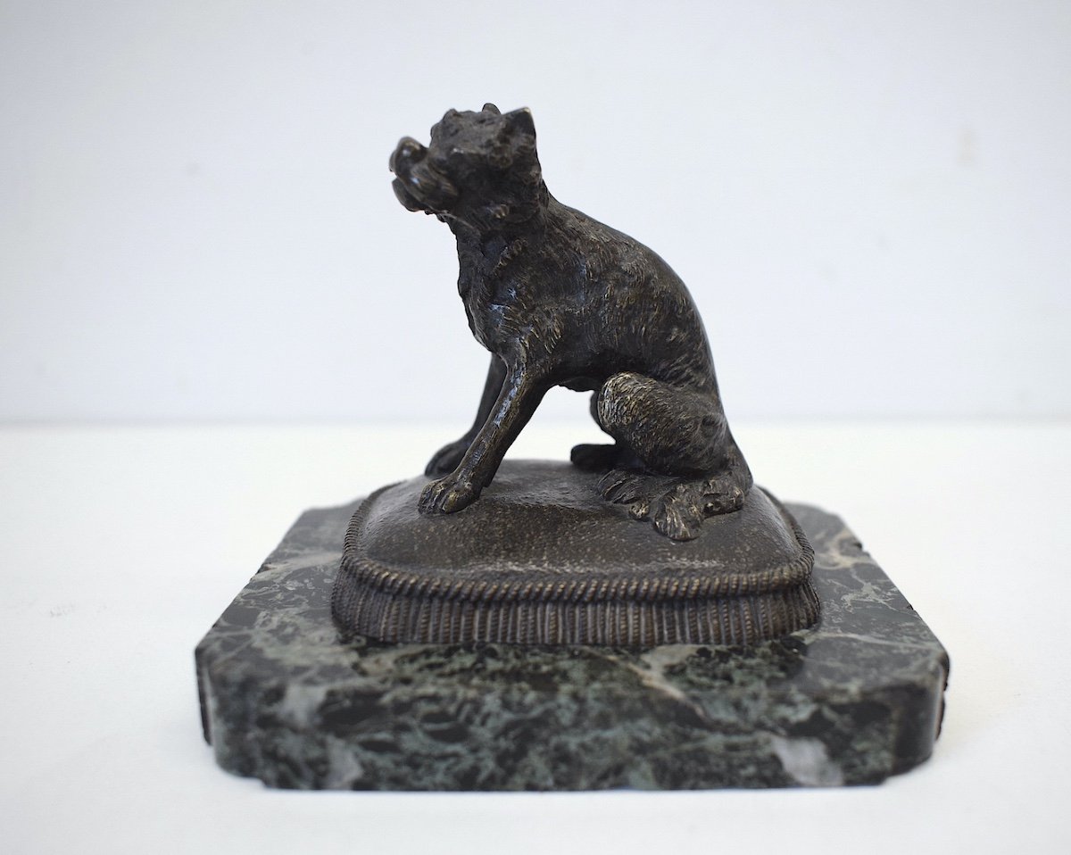 Small Animal Bronze Brussels Griffon Dog On Its Cushion 19th Century Ref412-photo-3