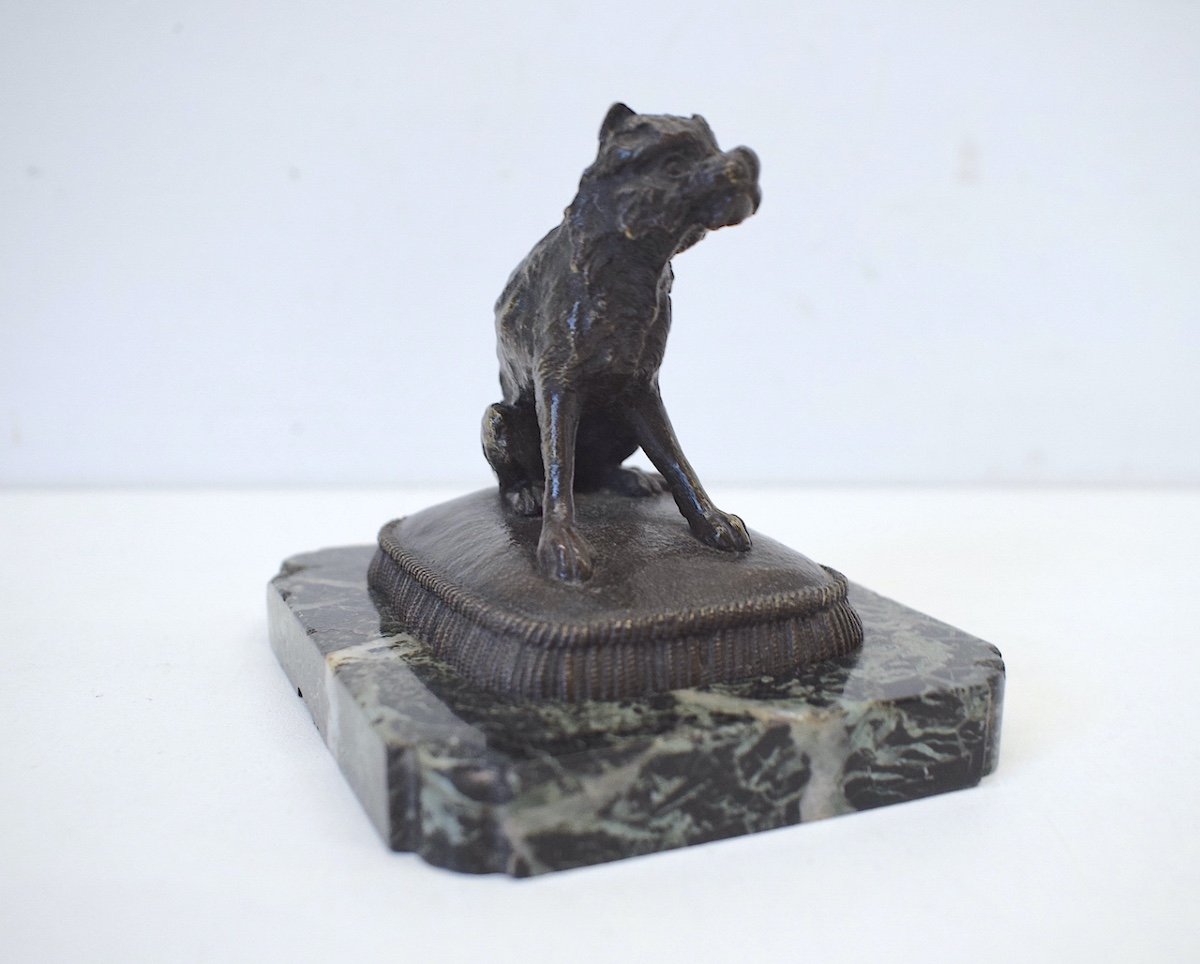 Small Animal Bronze Brussels Griffon Dog On Its Cushion 19th Century Ref412-photo-4