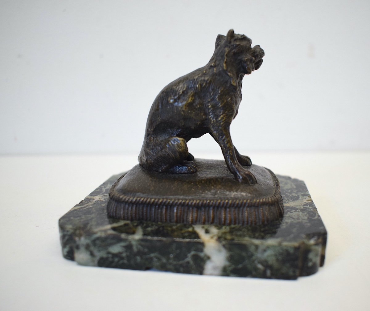 Small Animal Bronze Brussels Griffon Dog On Its Cushion 19th Century Ref412-photo-1