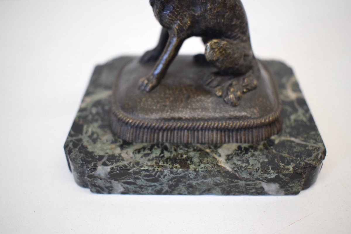 Small Animal Bronze Brussels Griffon Dog On Its Cushion 19th Century Ref412-photo-4