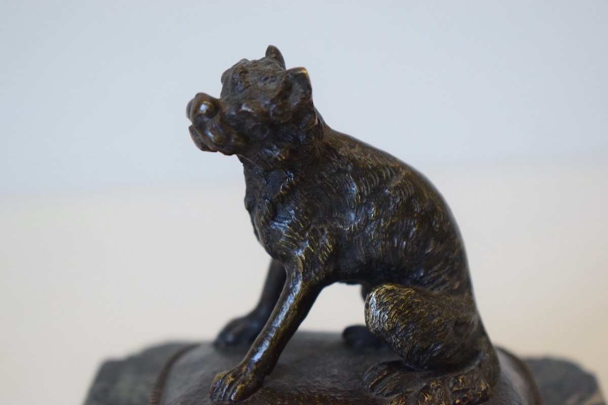 Small Animal Bronze Brussels Griffon Dog On Its Cushion 19th Century Ref412-photo-5