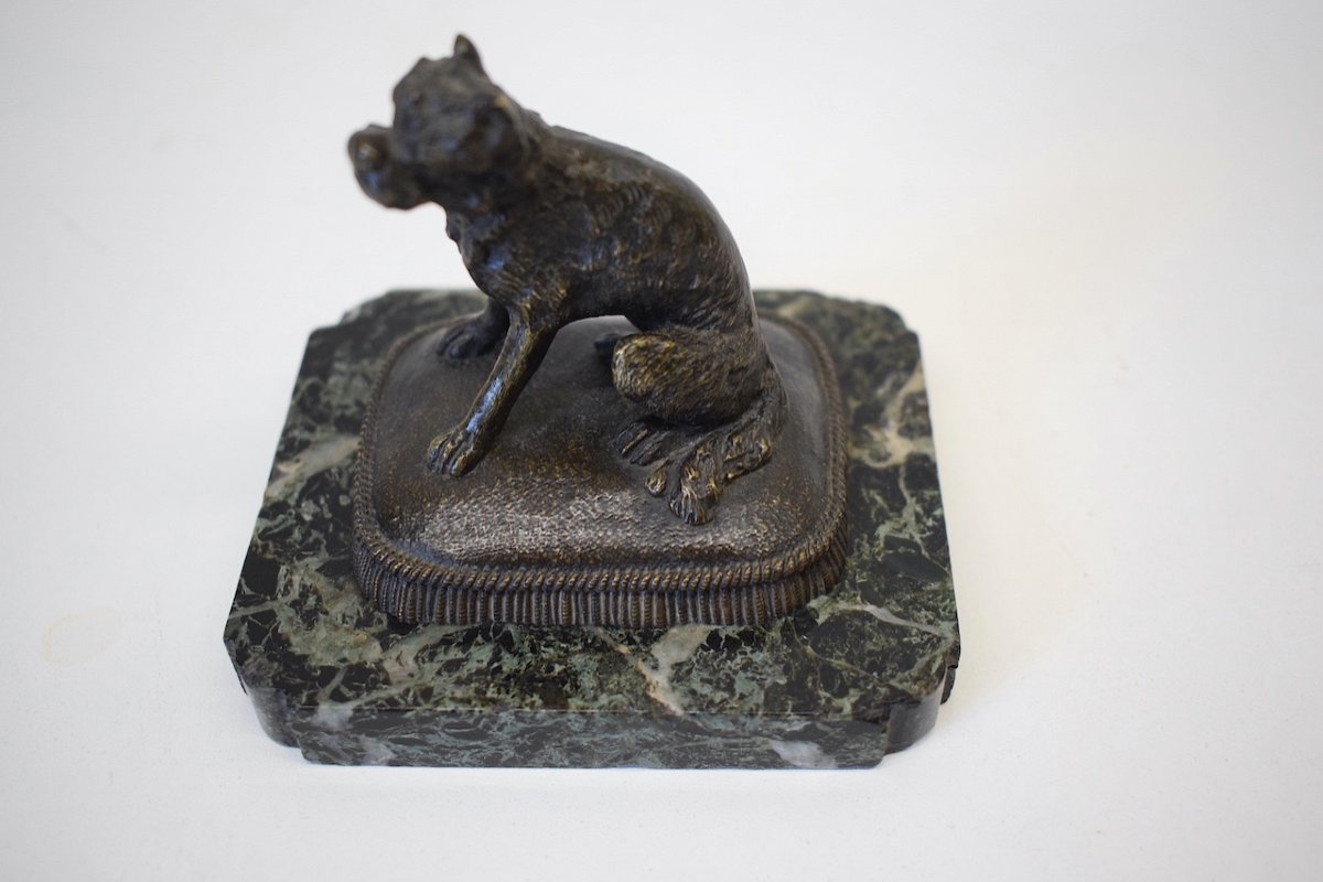 Small Animal Bronze Brussels Griffon Dog On Its Cushion 19th Century Ref412-photo-7