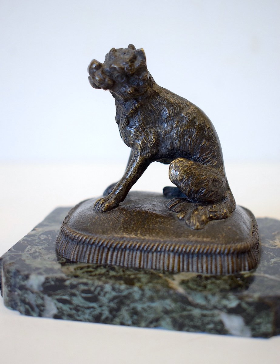 Petit Bronze Animalier Chien Griffon Bruxellois Sur Son Coussin 19 ème Siècle Ref412