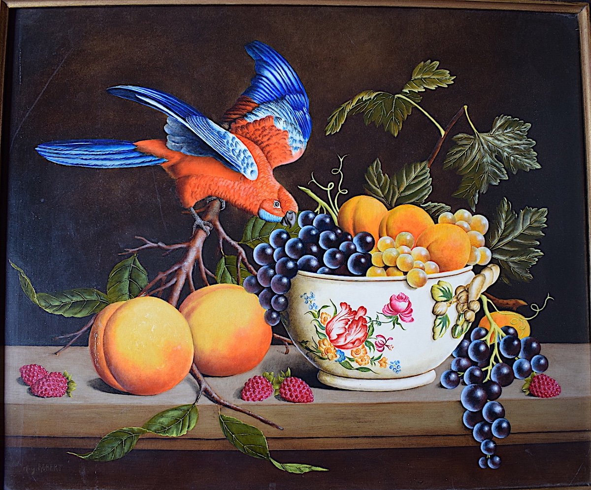 CLAUDE YVES ROBERT nature Morte Fruits Oiseau Perruche de Travies XX RT670-photo-3