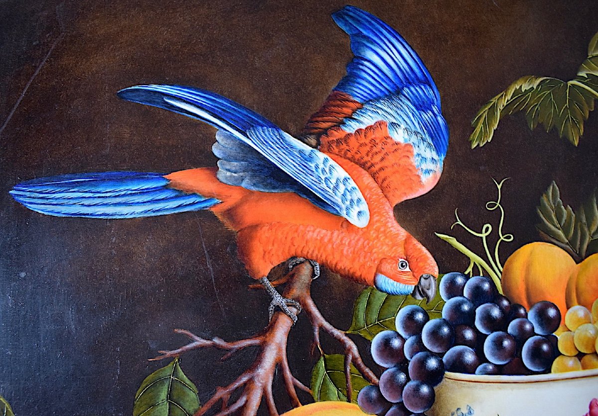 CLAUDE YVES ROBERT nature Morte Fruits Oiseau Perruche de Travies XX RT670-photo-2