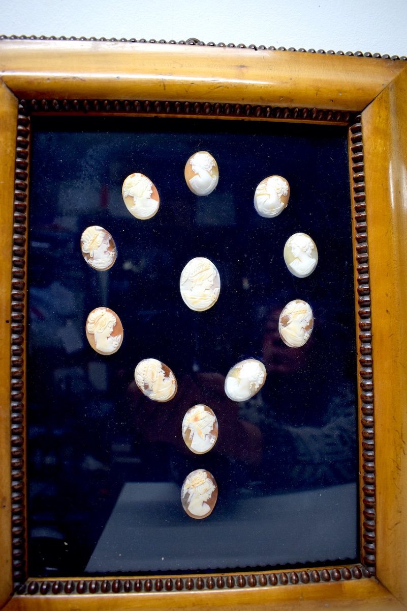 Collection Of 36 Camés Shell After The Antique 3 Frames Charles X XIX Ref537-photo-3