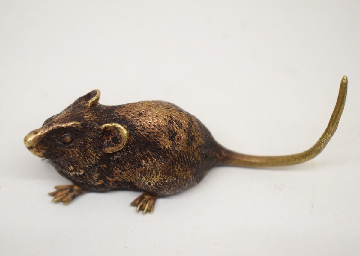 Vienna Bronze Animal Mouse Signed Geschutzt XIX Geschützt Registered Model 1064 Ref550-photo-3