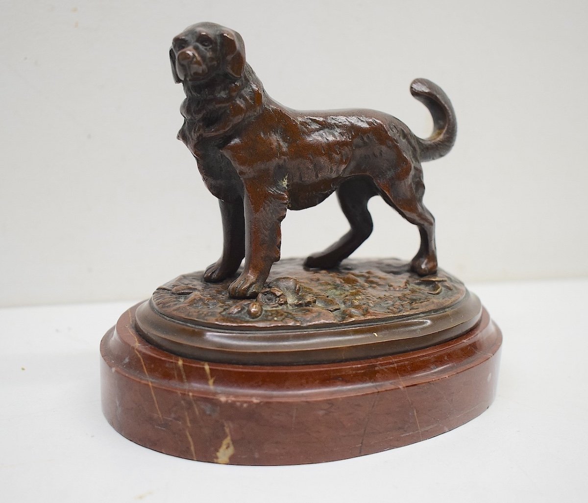 Bronze Animalier Chien De Montagne  Saint Bernard XIX ème Ref643 -photo-3