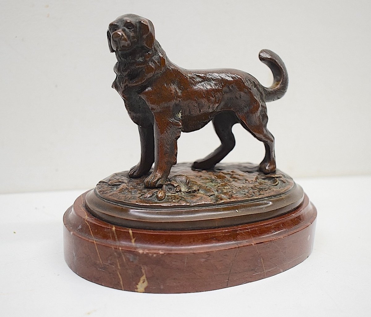 Bronze Animalier Chien De Montagne  Saint Bernard XIX ème Ref643 -photo-7