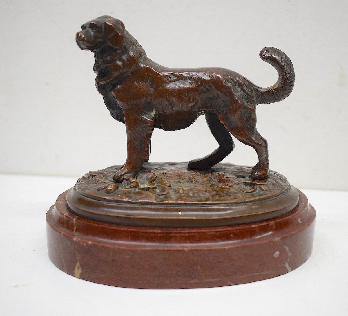 Bronze Animalier Chien De Montagne  Saint Bernard XIX ème Ref643 