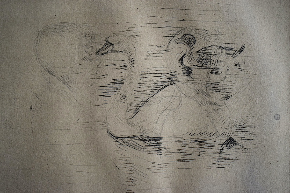 Berthe Morisot Drypoint Engraving Portrait Swan And Duck 19th Century Rt1294-photo-2