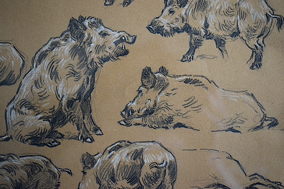 GEORGES-FRÉDÉRIC RÖTIG dessin animalier Étude de sangliers daté 1933 XX ème siècle RT1344-photo-3