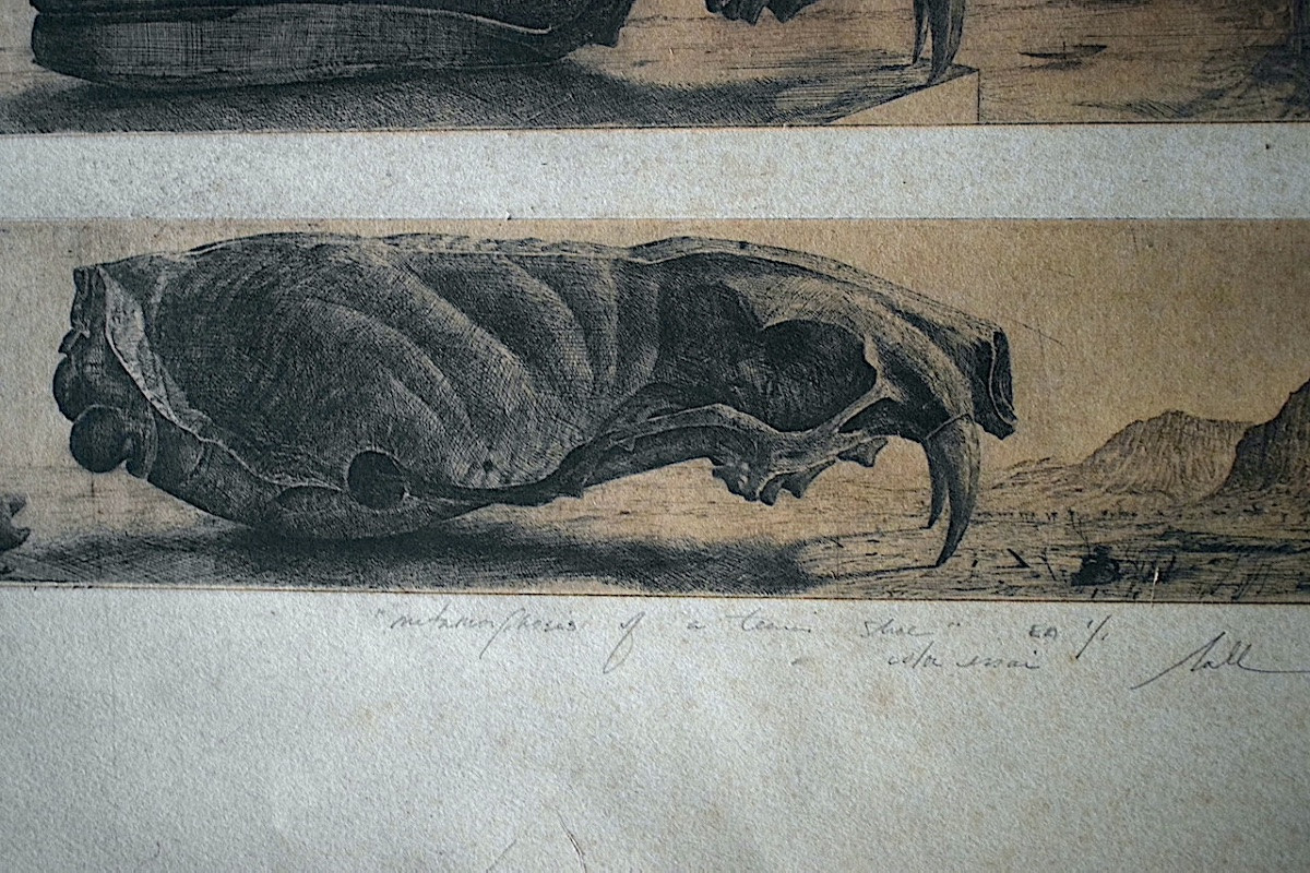 Fred NALL  métamorphose d'une chaussure de tennis gravure eau forte XX ème siècle RT1377-photo-4