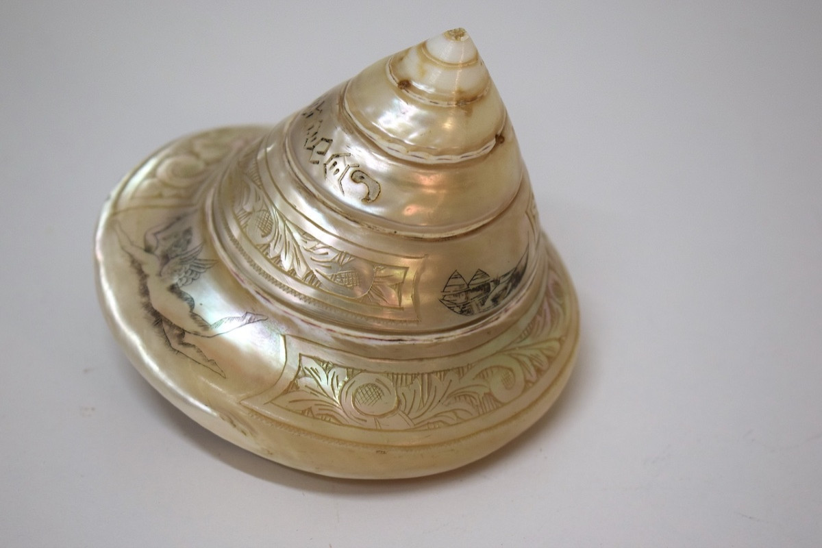 Coquillage nacre Gravé Travail Bagnard Nouméa Nouvelle Calédonie XIX ème Ref1147-photo-3