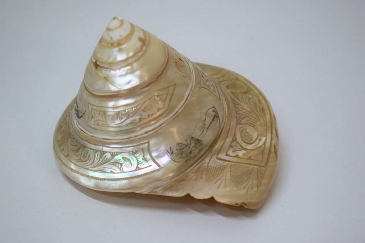 Coquillage nacre Gravé Travail Bagnard Nouméa Nouvelle Calédonie XIX ème Ref1147-photo-4