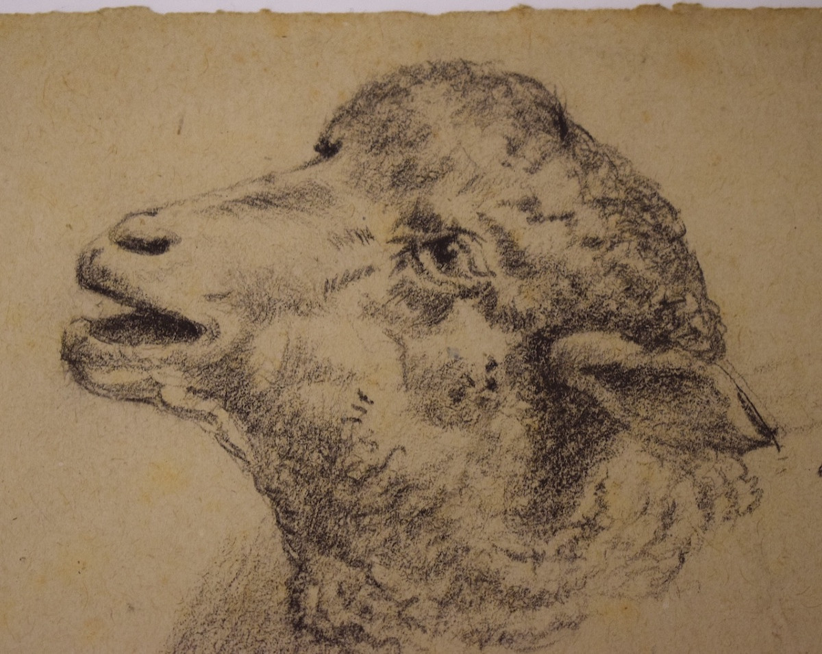 Dessin Pierre Noire Etude De Moutons et Patte De Poulet   École De Barbizon RM03-photo-1