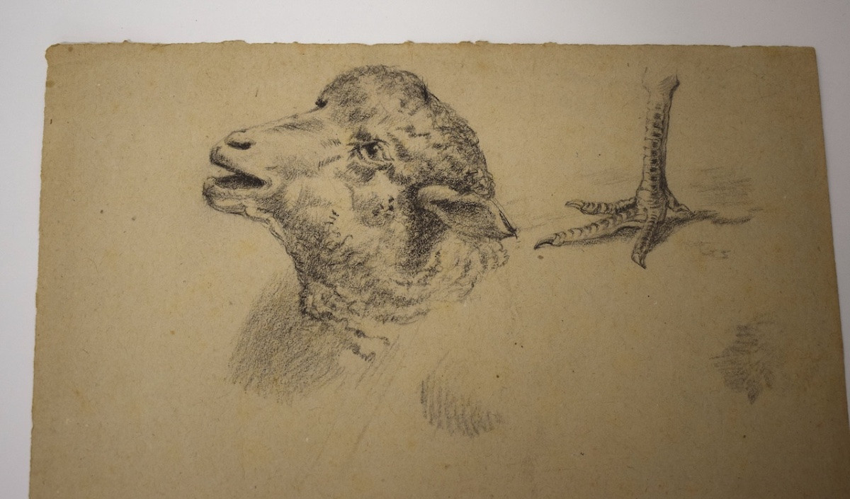Dessin Pierre Noire Etude De Moutons et Patte De Poulet   École De Barbizon RM03-photo-2