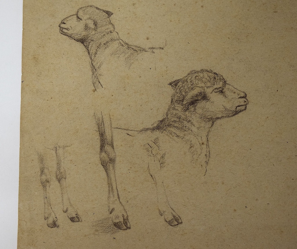 Dessin Pierre Noire Etude De Moutons et Patte De Poulet   École De Barbizon RM03-photo-6