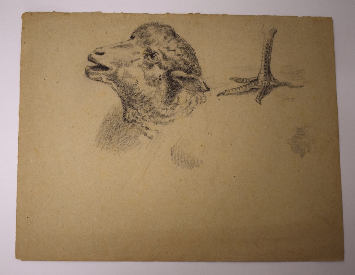 Dessin Pierre Noire Etude De Moutons et Patte De Poulet   École De Barbizon RM03