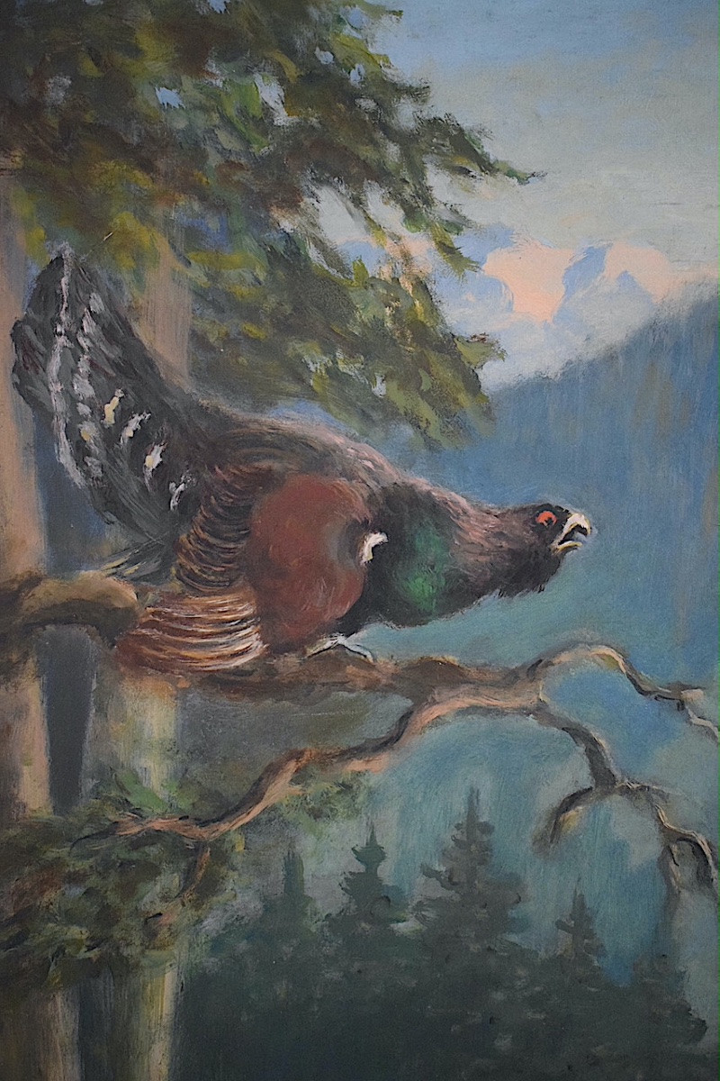 Le Grand Tétras  ou Grand Coq de bruyère forêt paysage XX ème siècle signé à identifier RT1428-photo-4