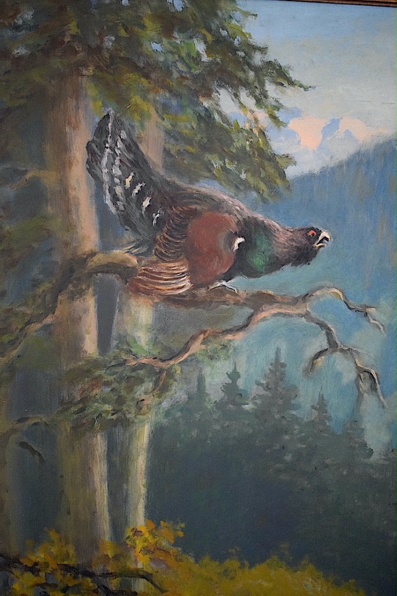 Le Grand Tétras  ou Grand Coq de bruyère forêt paysage XX ème siècle signé à identifier RT1428-photo-1