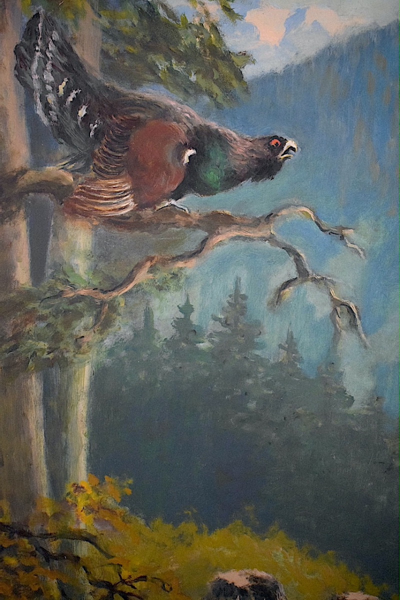 Le Grand Tétras  ou Grand Coq de bruyère forêt paysage XX ème siècle signé à identifier RT1428-photo-2