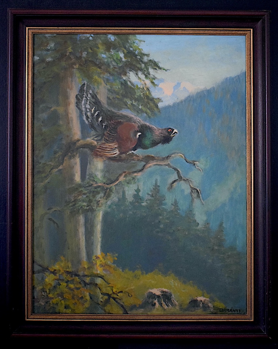 Le Grand Tétras  ou Grand Coq de bruyère forêt paysage XX ème siècle signé à identifier RT1428