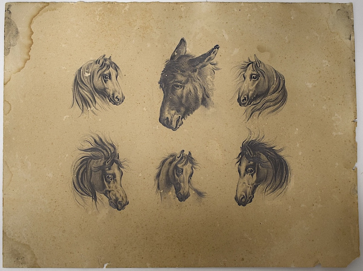 Dessin étude de Chevaux et Âne Ecole Française entourage de Carle Vernet Rm03-photo-2