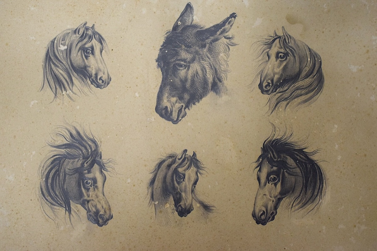 Dessin étude de Chevaux et Âne Ecole Française entourage de Carle Vernet Rm03-photo-5