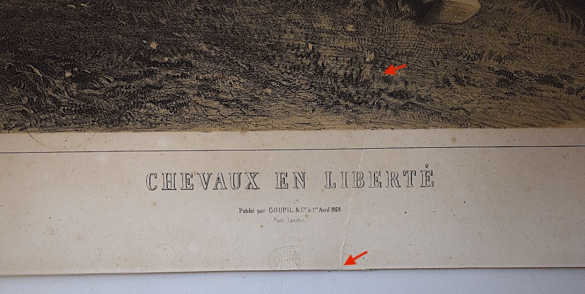 Gravure lithographie par Alfred de Dreux chevaux en liberté  éditeur Goupil Refm09-photo-2