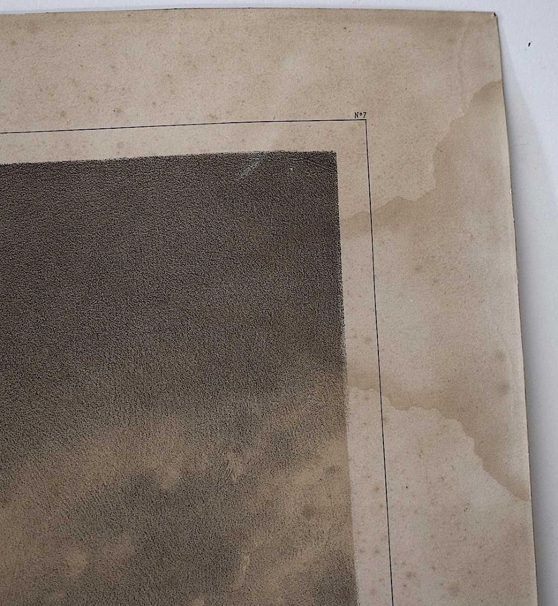 Gravure lithographie par Alfred de Dreux chevaux en liberté  éditeur Goupil Refm09-photo-7