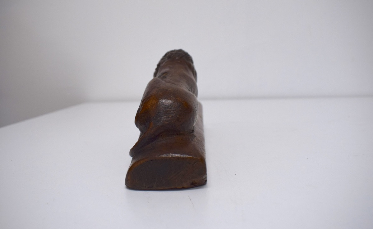 LION EN BOIS SCULPTE ART POPULAIRE SUISSE XIX EME REF1123-photo-6