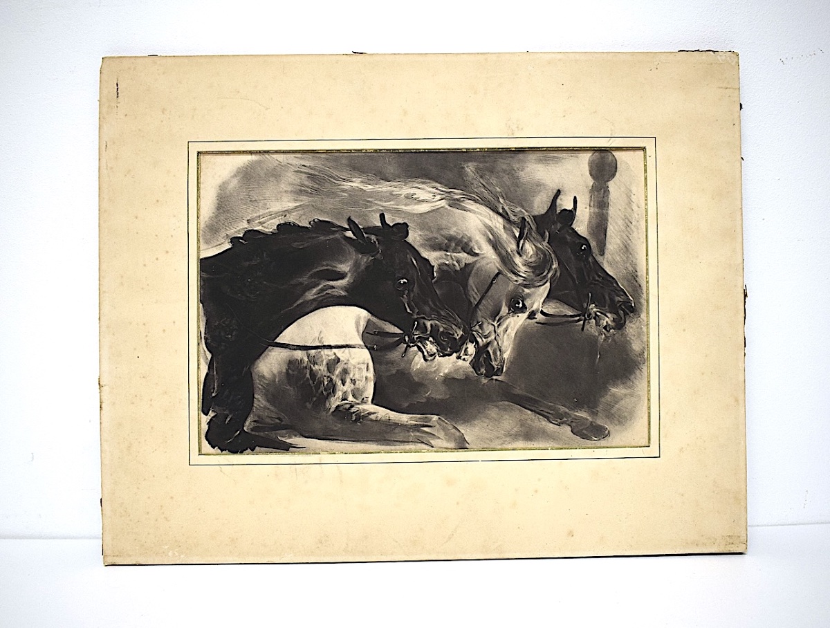 Lithographie estampe Chevaux en fin de course hippique  époque XIX ème siècle RefM52 -photo-4