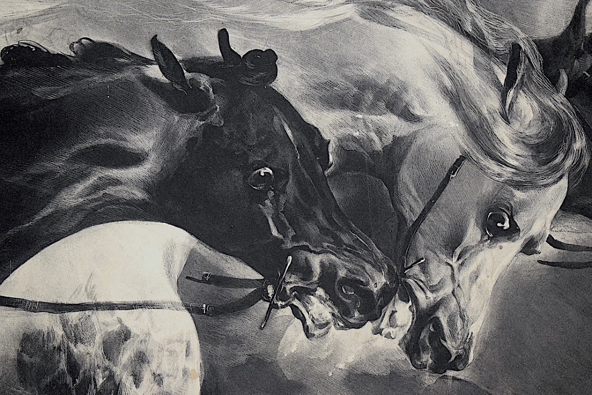 Lithographie estampe Chevaux en fin de course hippique  époque XIX ème siècle RefM52 -photo-5