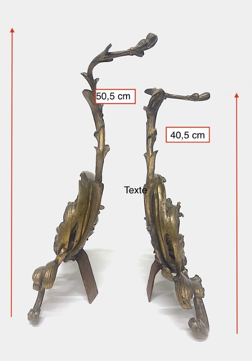Pair Of Rococo-style Bronze Fire Tongs With Putti And Naturalistic Decorations Ref1209-photo-1
