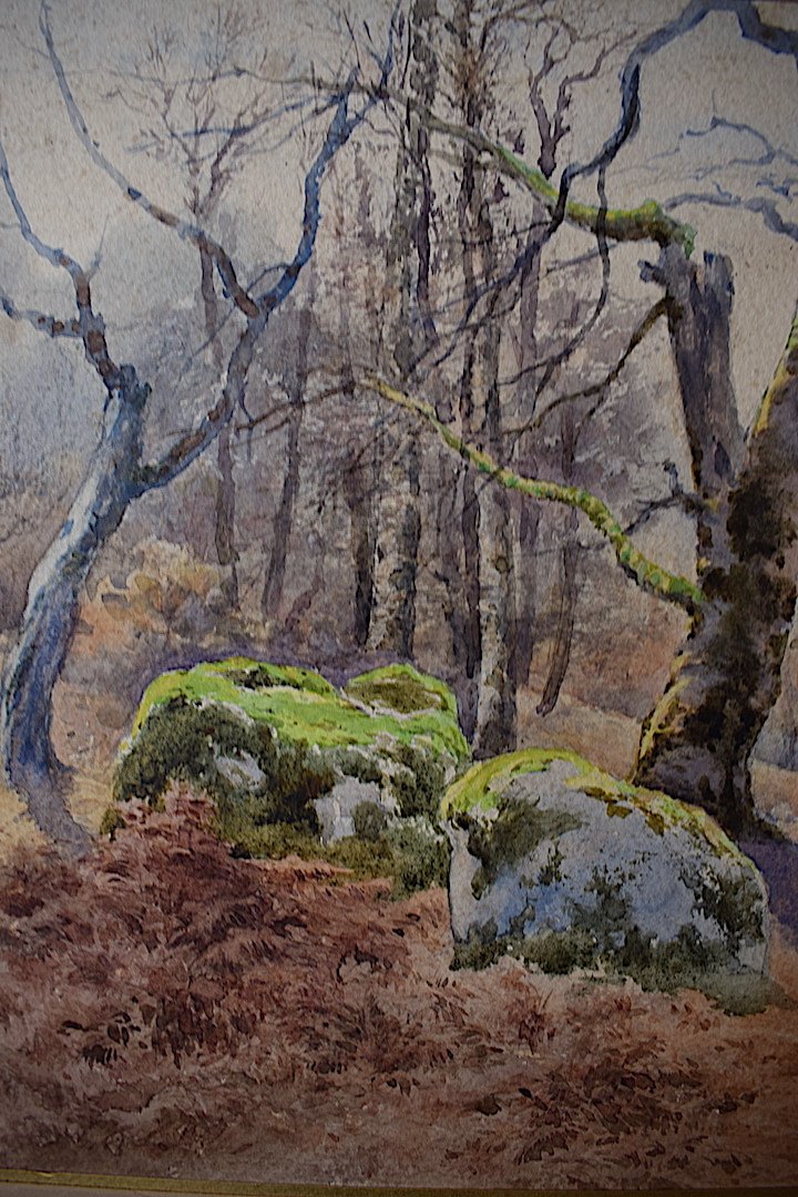 Felix Vionnois La Gorge Aux Loups Forêt De Fontainebleau Barbizon aquarelle XIX RT83-photo-4