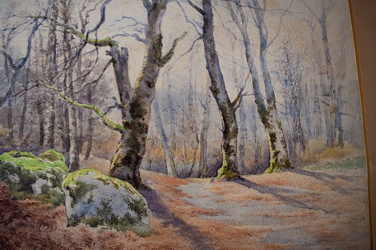 Felix Vionnois La Gorge Aux Loups Forêt De Fontainebleau Barbizon aquarelle XIX RT83-photo-1