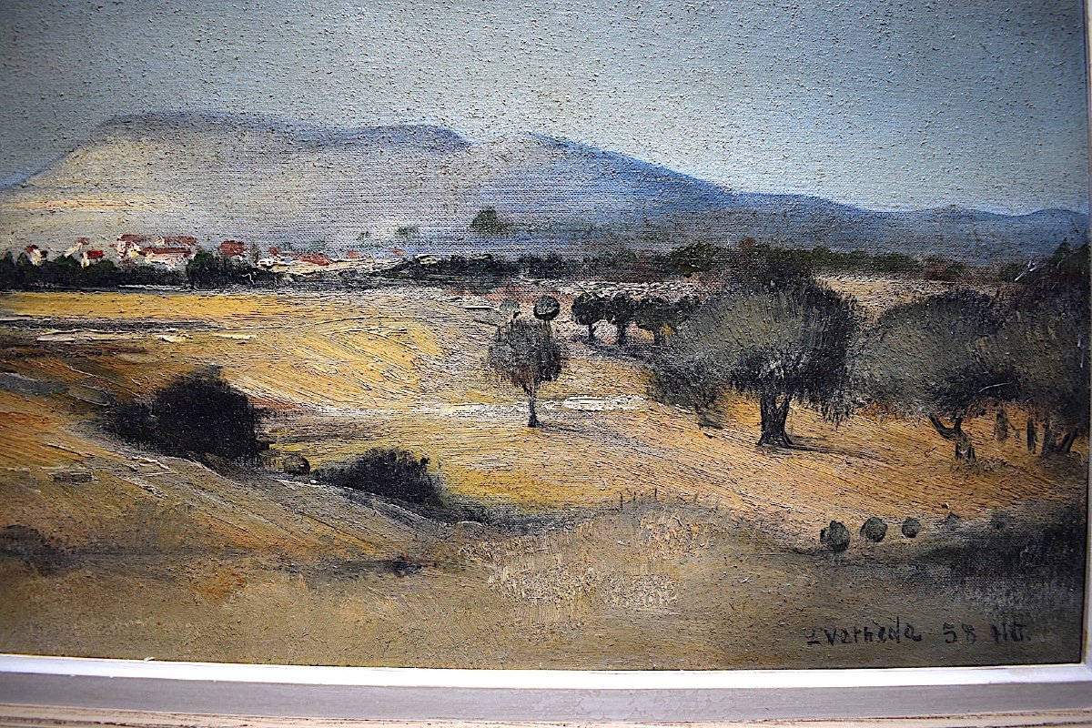 Landscape Provence Mountain Mont Ventoux Signed To Identify Years 1950 1960 XX Rt176 *-photo-1