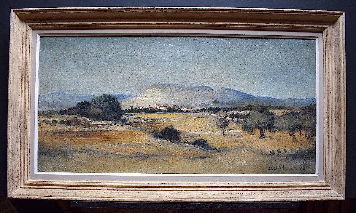Landscape Provence Mountain Mont Ventoux Signed To Identify Years 1950 1960 XX Rt176 *