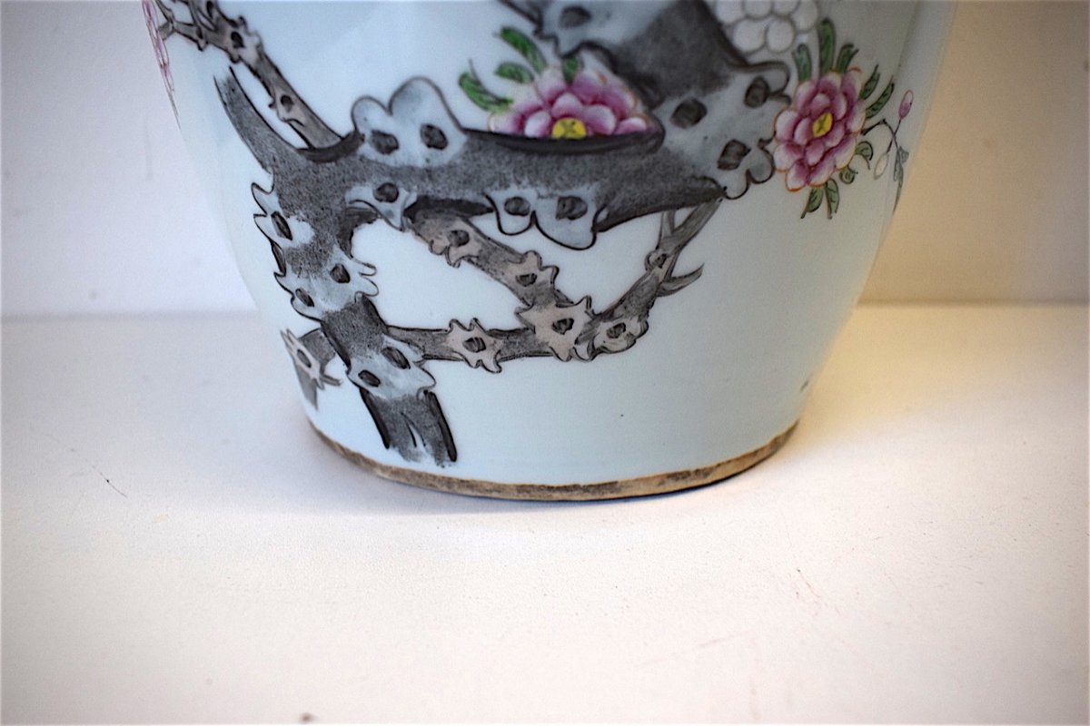 Celadon Chinese Porcelain Vase Decor Birds Insects Flowering Tree Asian Chinese 1900 Ref170-photo-6